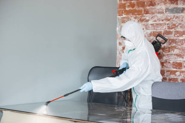 Mold Remediation for Rental Properties in Fort Walton Beach, FL